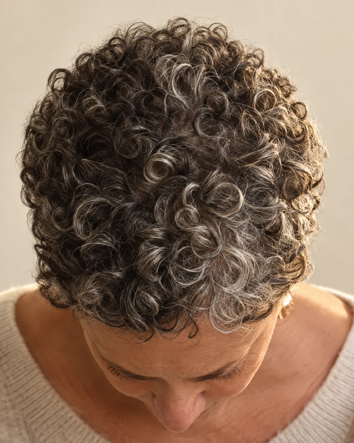 Top-down view of very short curly crop, dark brown with silver curls mixed in, consistent coils covering the crown evenly